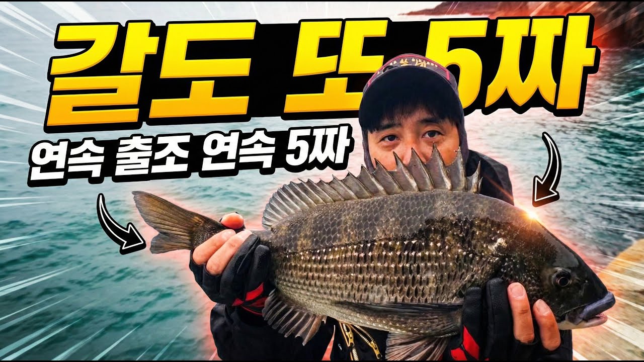 갈도 또 5짜 감성돔, 이게 가능하네?