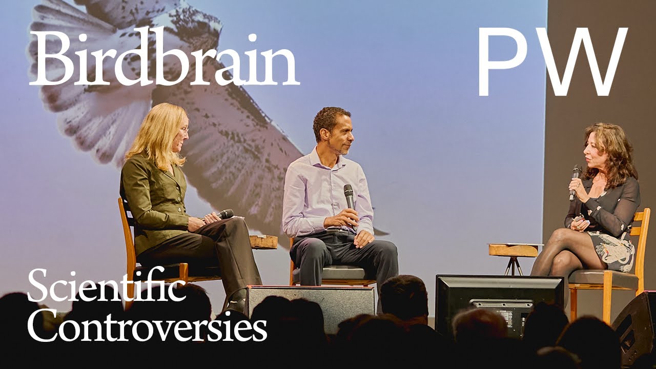 Birdbrains Are Brilliant. Neuroscientists Agree.