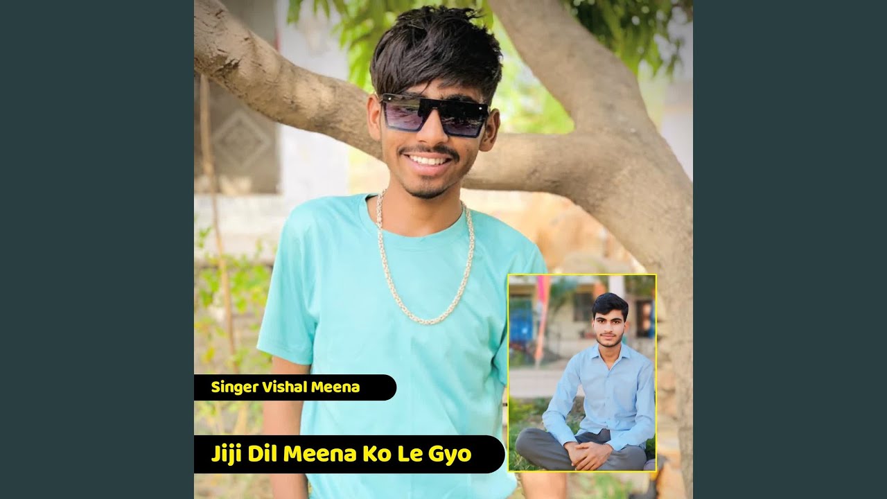 Jiji Dil Meena Ko Le Gyo