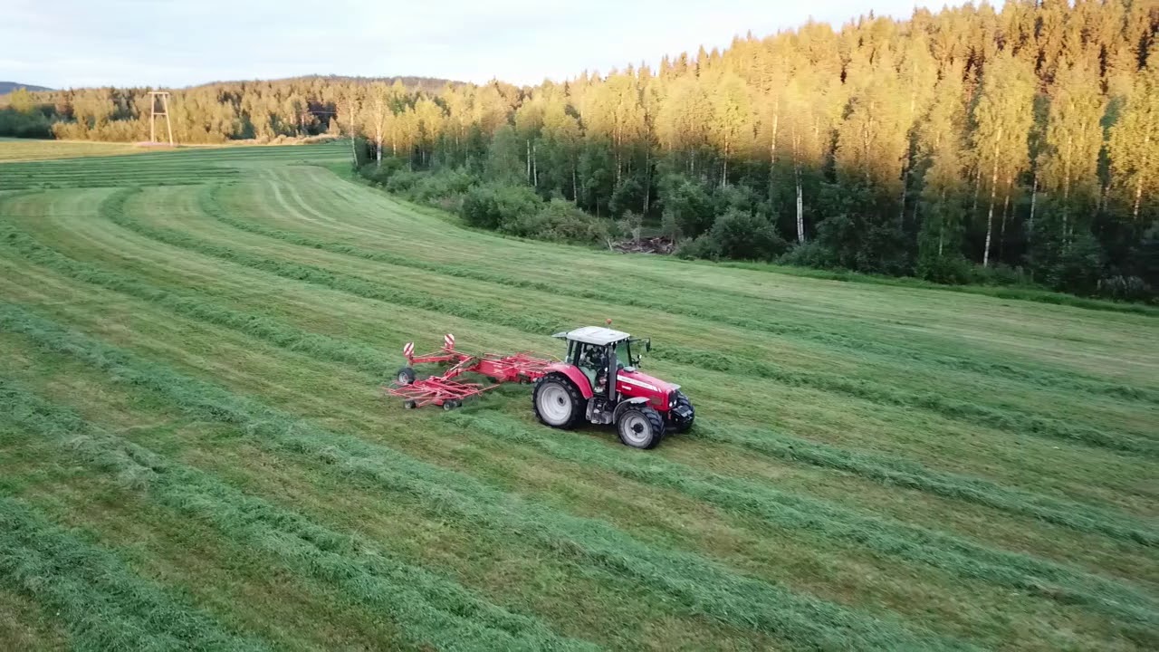 Karhotus
