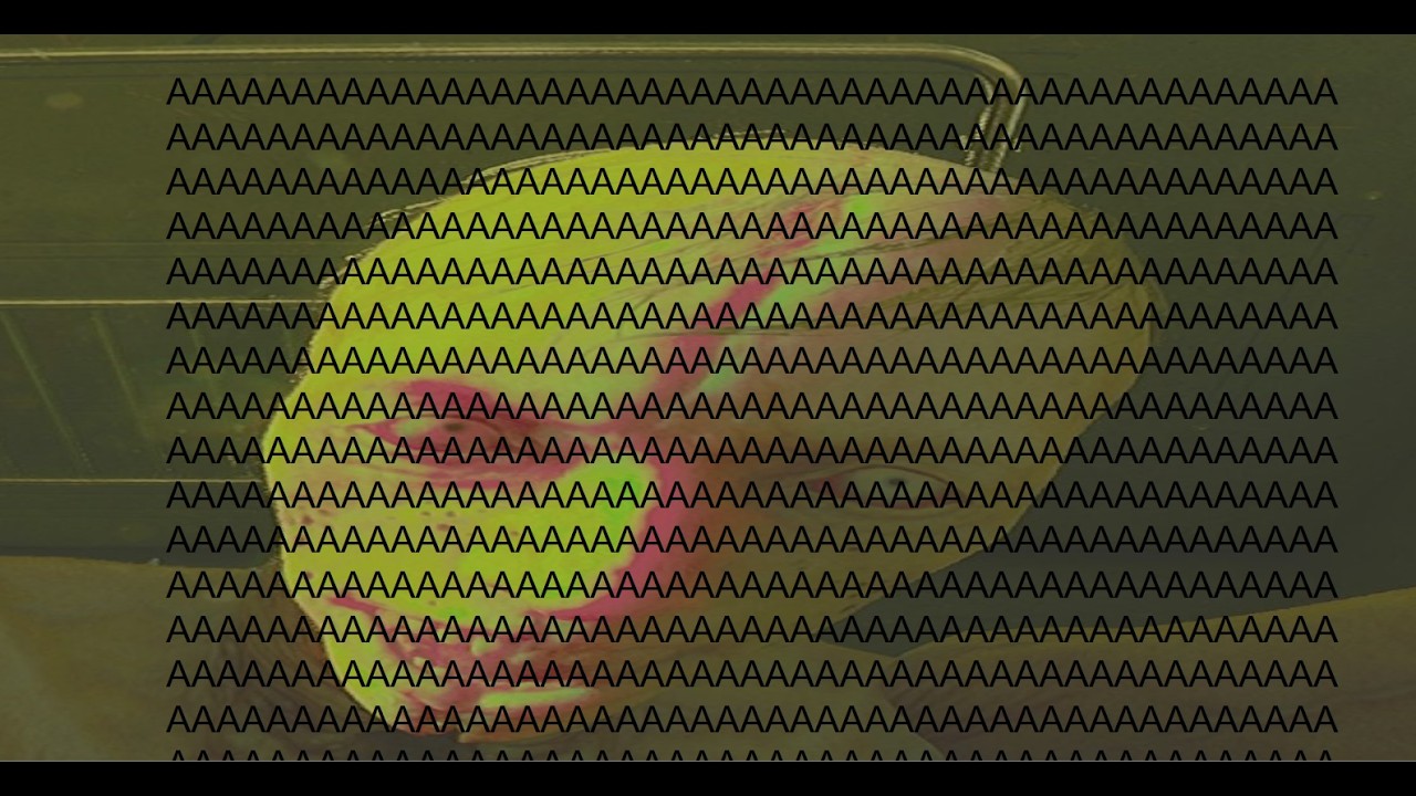 ROUTINE very scary aaaaaaaaaaaaaaaaaaaaaaaaaa