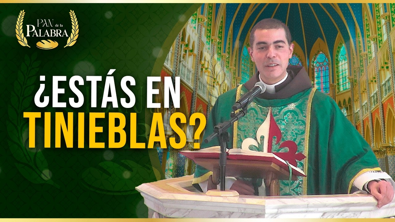 Cuando CRISTO ilumina la vida: Homilía Dominical