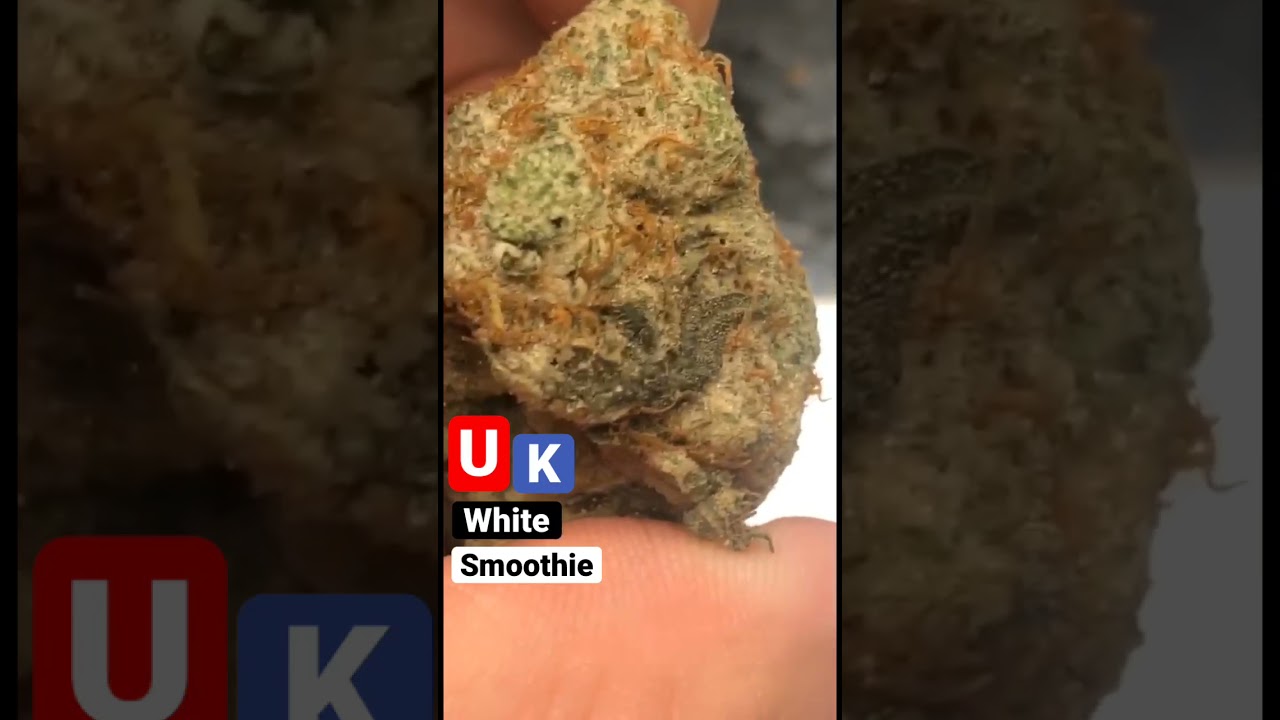 Uk white smoothie 🔌🇬🇧 #fyp #shorts #greenteam #rapperweed #weed #gas #cali #bud