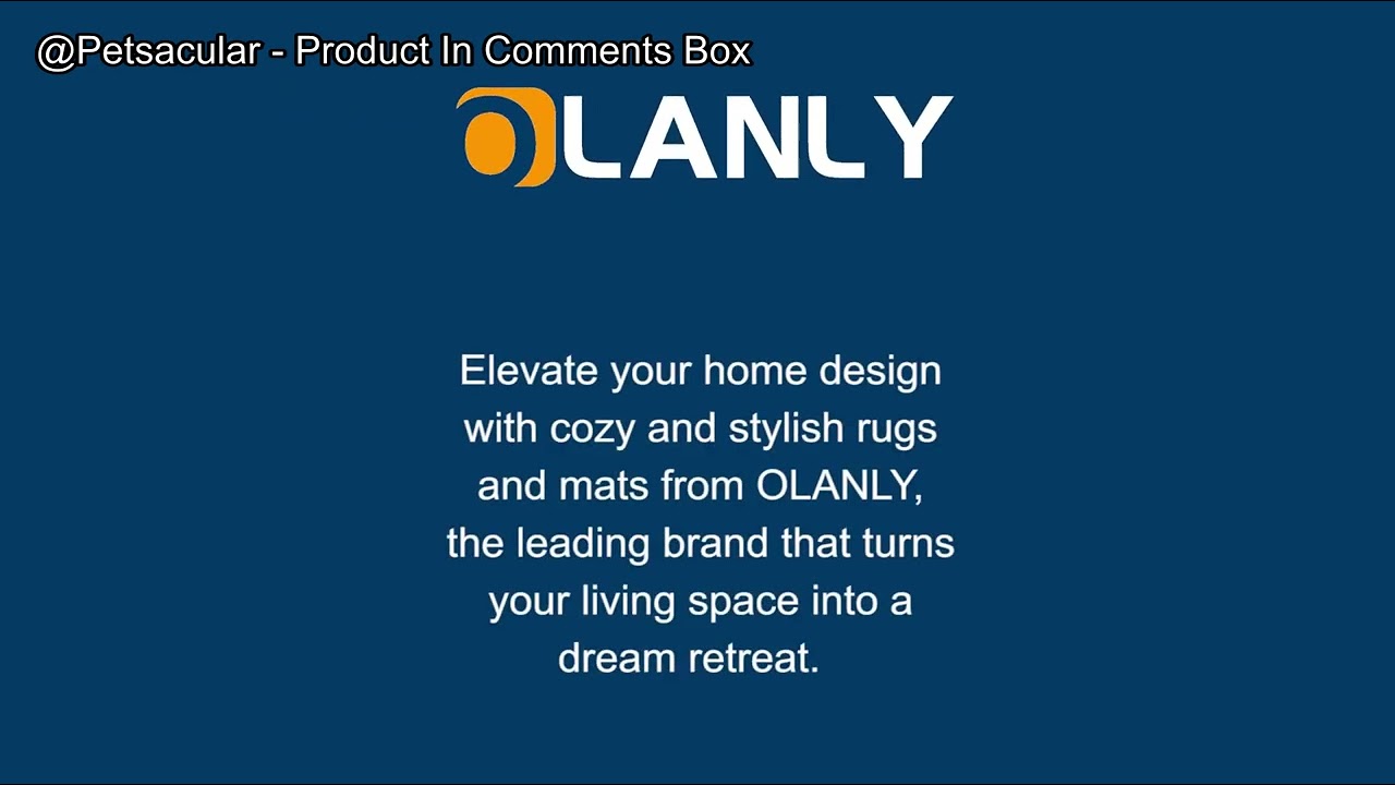 OLANLY Dog Door Mat Review: The Ultimate Solution for Muddy Paws or Just a Waste?