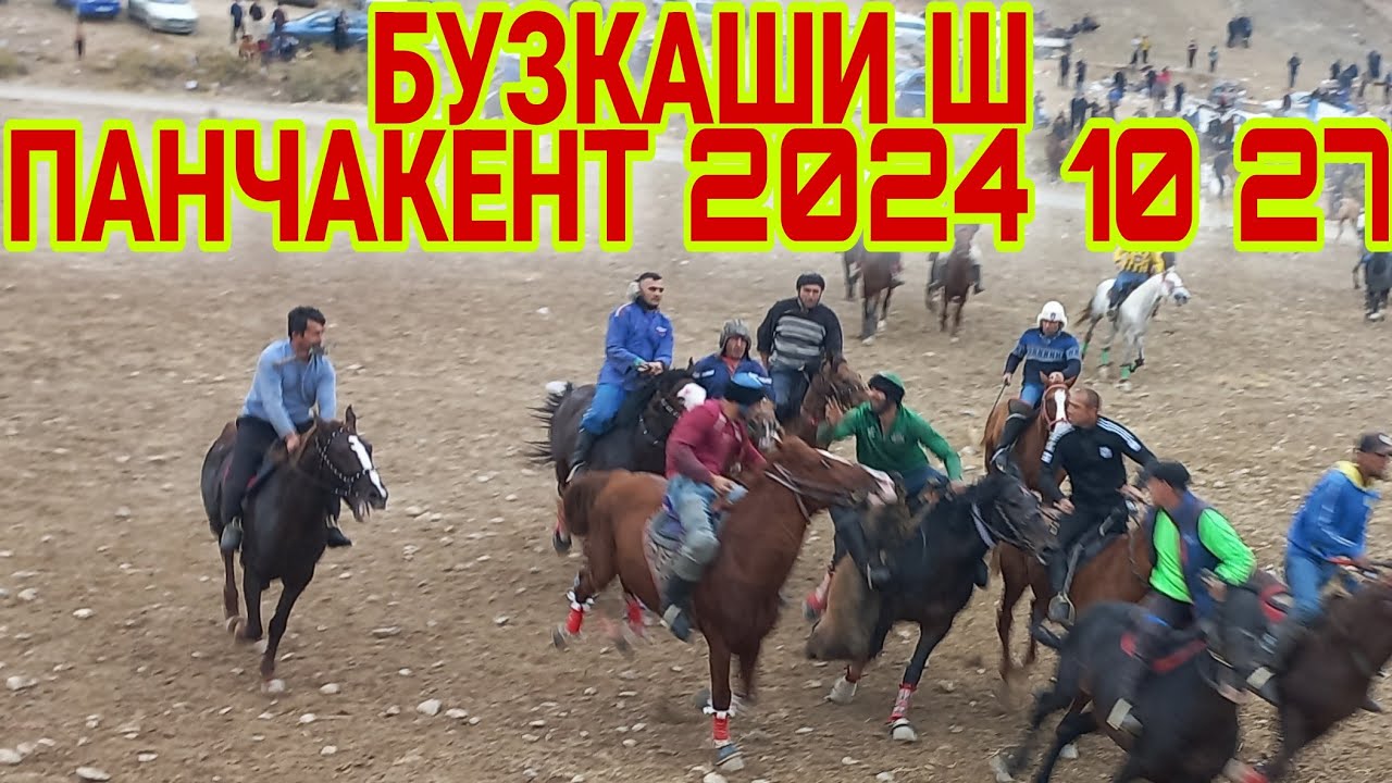 бузкаши  ш панчакент 2024 28