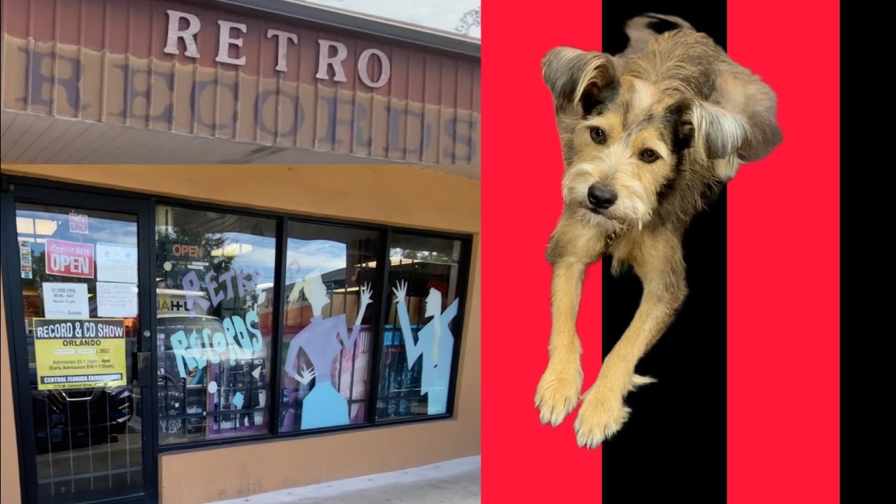 Record Search At Retro Records In Orlando, Florida