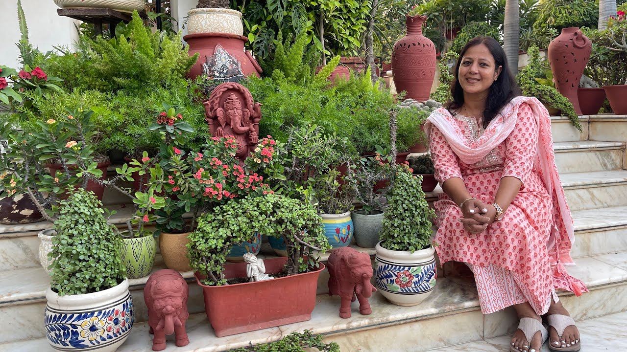 जयपुर का ये गार्डन हैं कुछ हटकें 🪴 यहाँ है ट्रे गार्डन कि भरमार 🤩 Tray Gardening Hidden Tricks