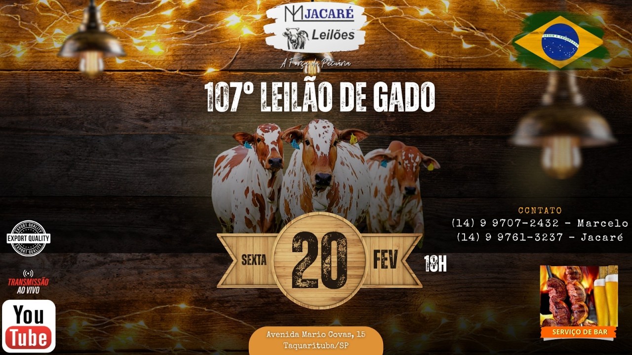 107° LEILÃO DE GADO - 20/02/2026 - ML JACARÉ LEILÕES - TAQUARITUBA/SP #agro #aovivo #pecuaria
