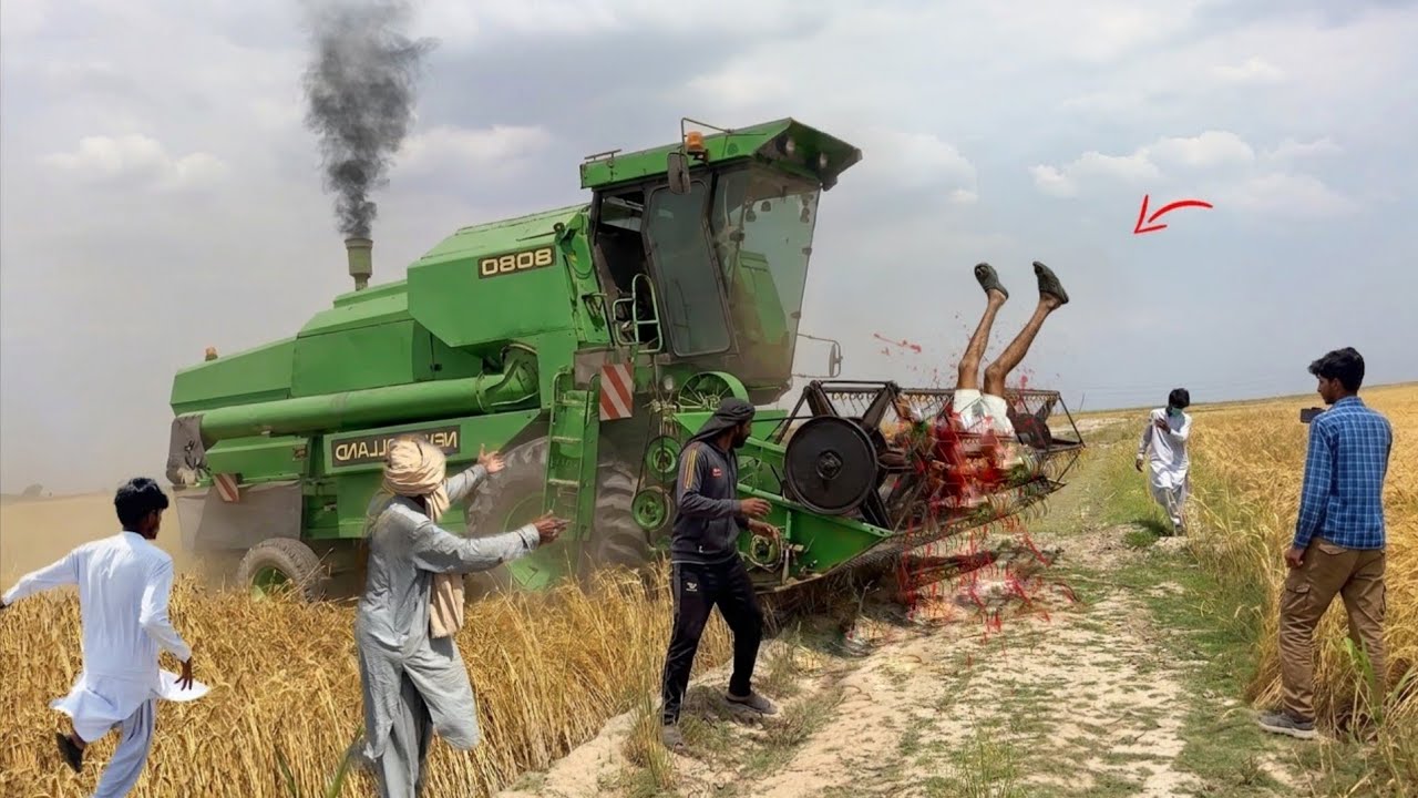 Combine Wheat Harvester Machine | Heavy Field Harvest & High Capacity Grain Unloading 2026 | 4K HD