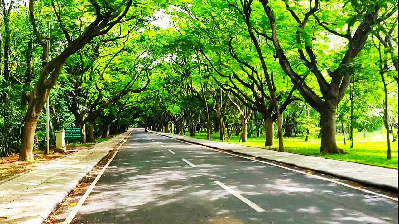 Lockdown Vibes| IISc Campus During Lockdown