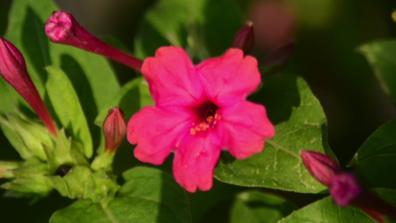 Sitting meditation by Jon Kabat Zinn - practice to reduce stress- sitting so you do not fall asleep