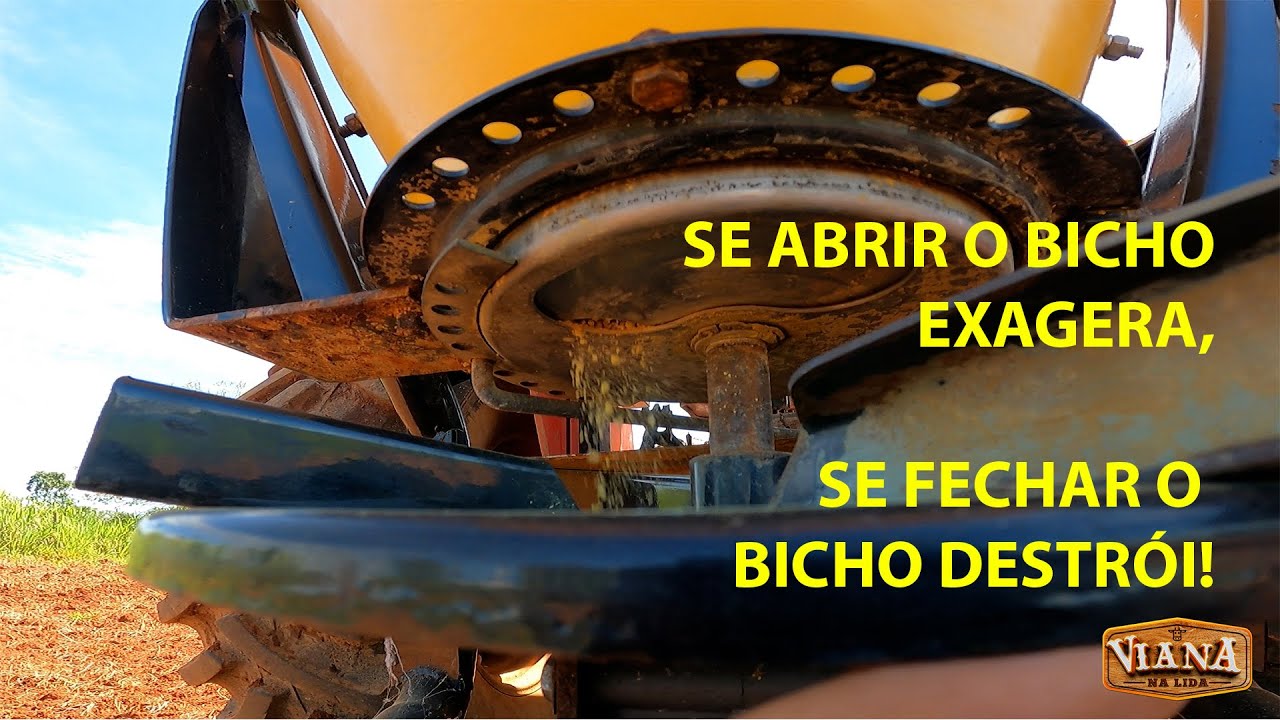 O DILEMA DE SEMEAR COM O DISTRIBUIDOR