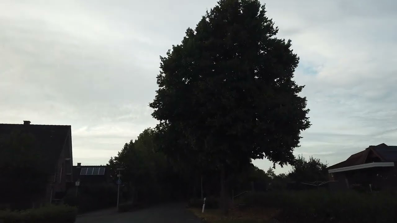 Von Senden durch Bösensell Richtung Roxel       #dashcam #münsterland #autofahren