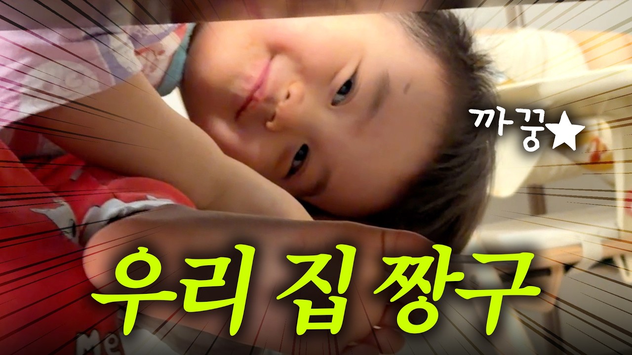 [VLOG] 천방지축 어리둥절 빙글빙글 돌아가는 유준이의 하루