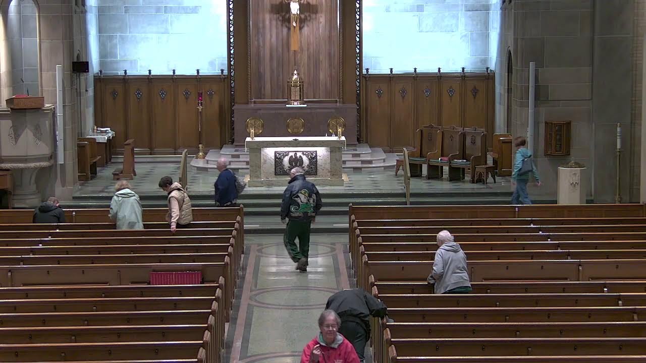 Daily Mass - February 19, 2026