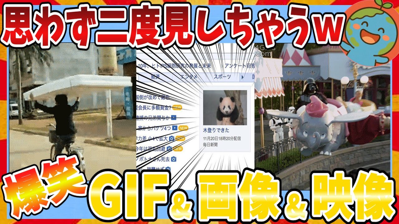 【🌏爆笑】思わず二度見してしまう程笑えるおもしろGIF＆画像＆動画大全集ｗｗｗ【2ch】【ガルちゃんまとめ】
