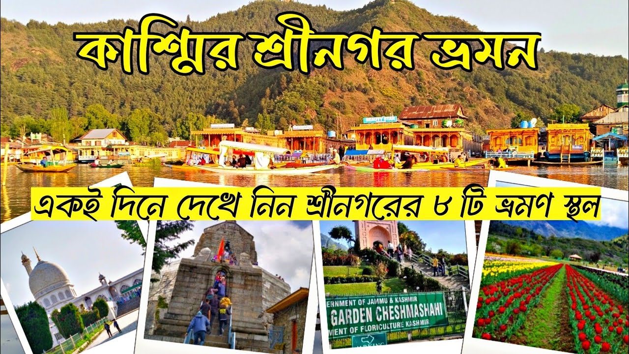 Srinagar tour in Bengali|Srinagar tourist places|Srinagar tour guide|