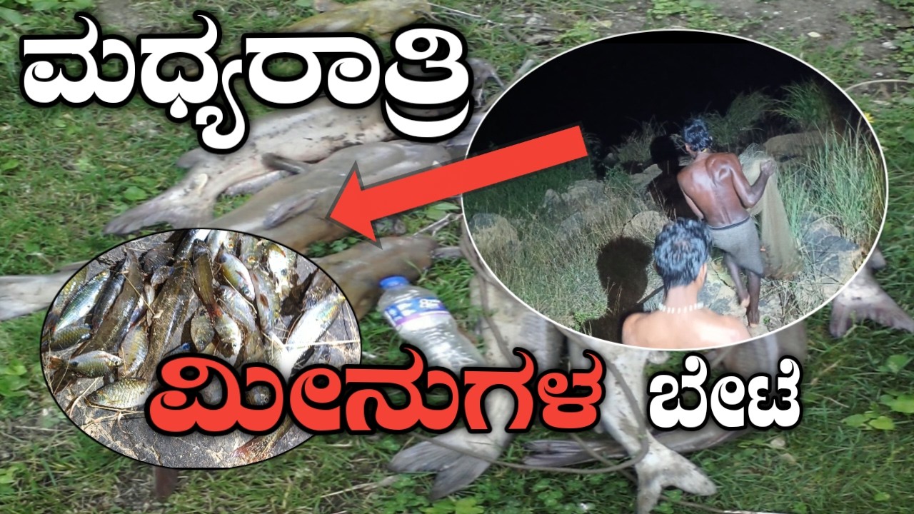 Midnight big😱fish catching and party🤩🥳Hosmata river #party#fishing#fish catching#fish#fishingvideo