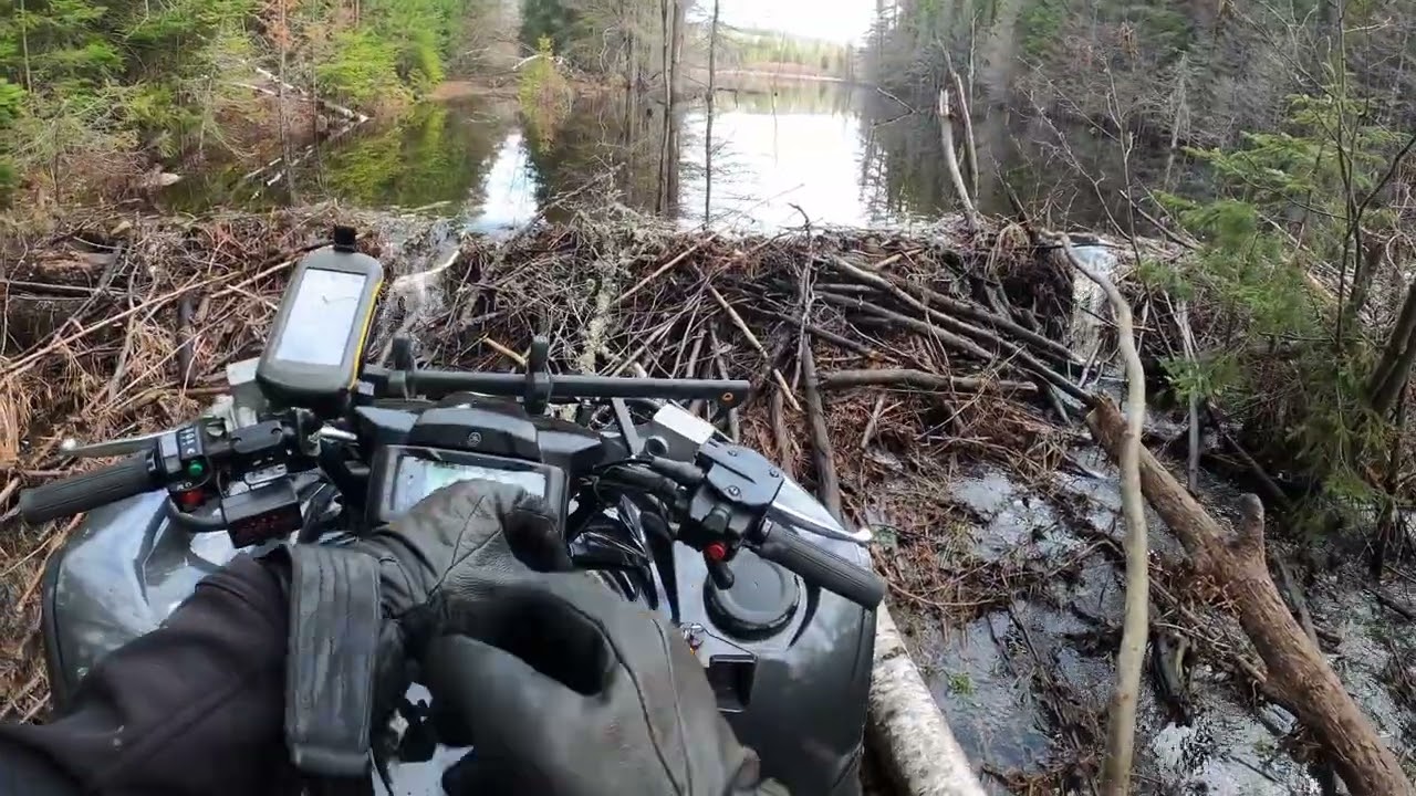 Grizzly 700 SE   23 Apr 2023   Throttle Therapy
