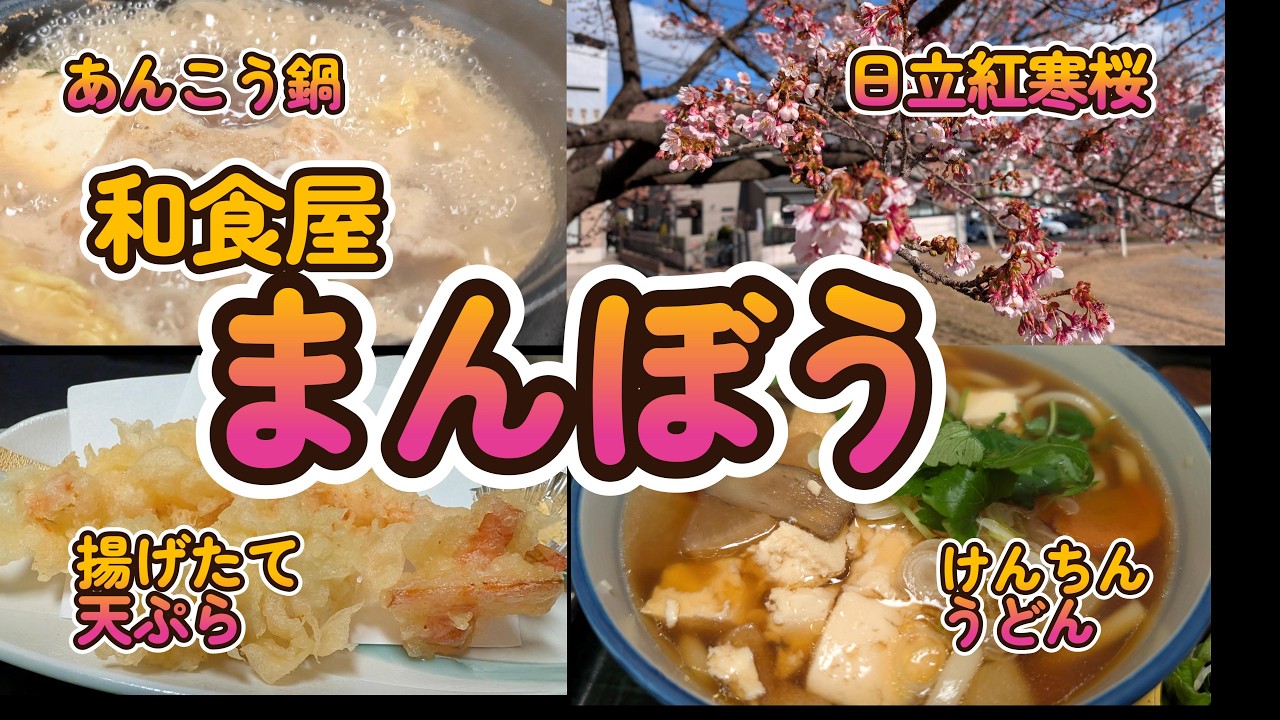 【揚げたて天婦羅激旨！】冬の日立はあんこうとけんちんで身も心も温まる！日立紅寒桜も開花！