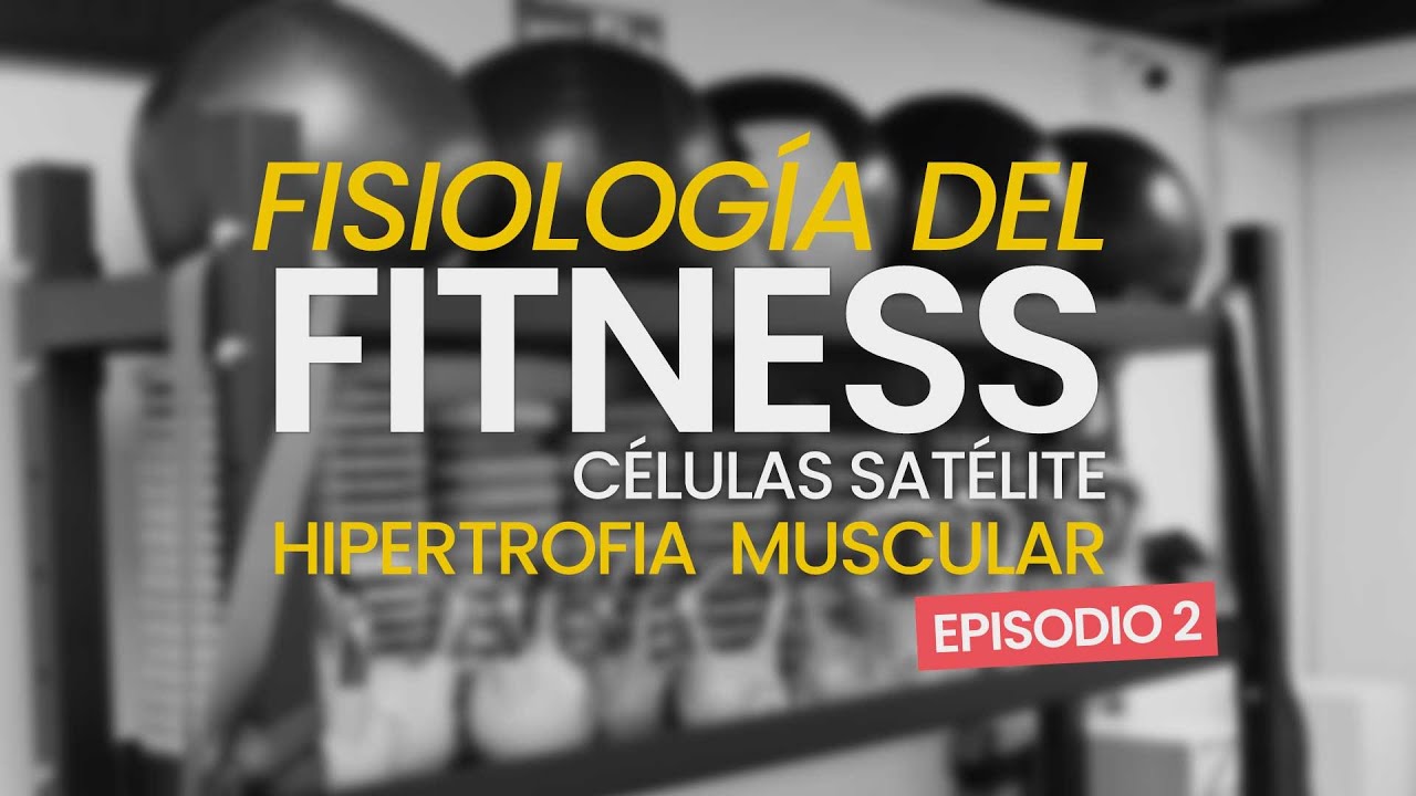 🧠📄FISIOLOGÍA DEL FITNESS – CÉLULAS SATÉLITE - HIPERTROFIA MUSCULAR