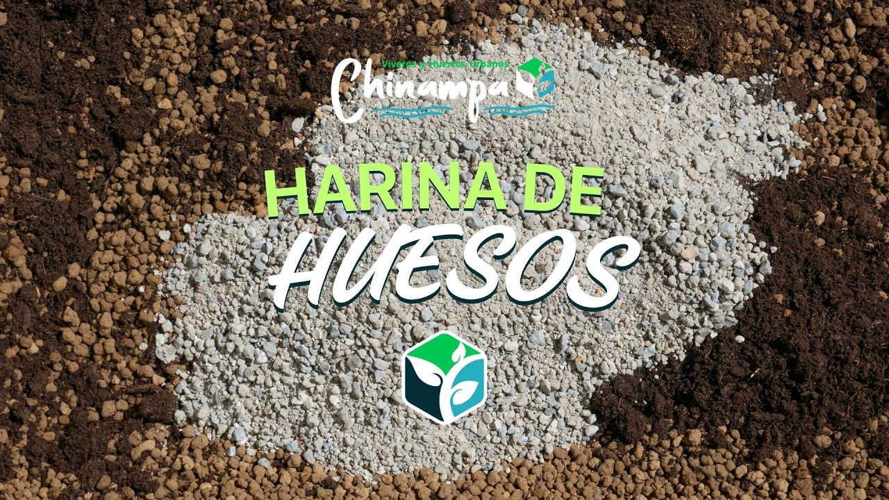 Harina de Huesos: ¡El secreto de una floración mágica! 🌸✨