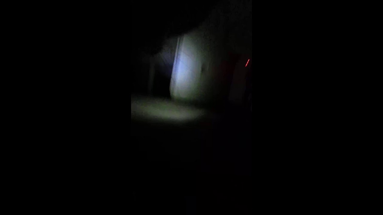 Cat Live｜ねこライブ｜貓咪直播｜ 2026-02-01 10:45:03