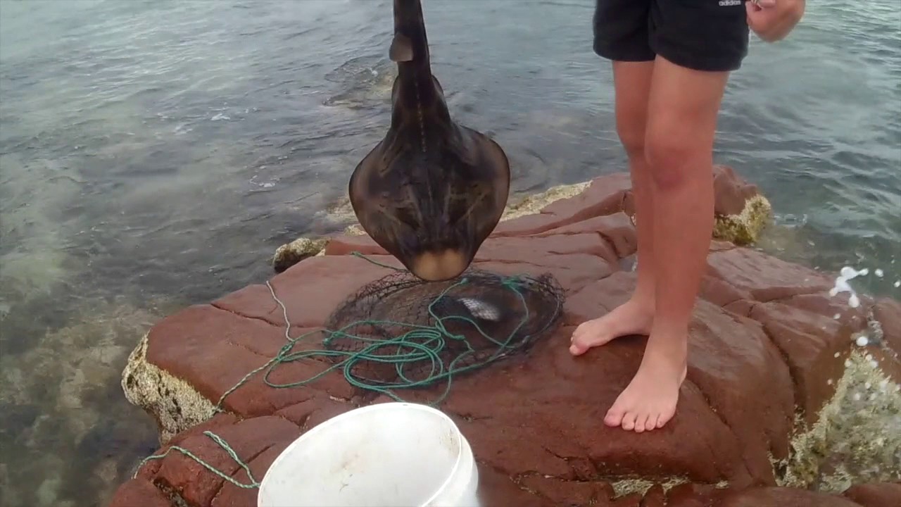 Wallaroo fishing Trip