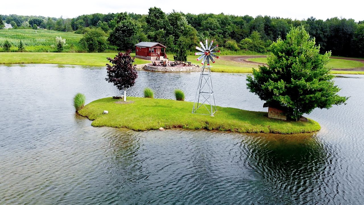Designing The Perfect Pond