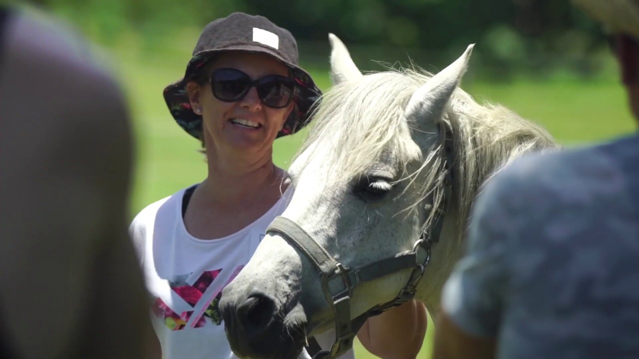Equine Assisted Learning Corporate Programs