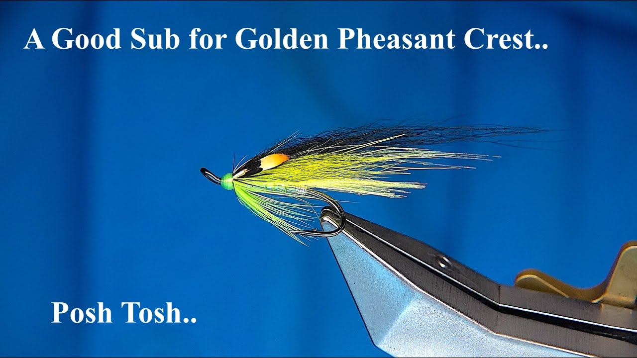 A Good Sub for Golden Pheasant Crest and Tying a Posh Tosh..