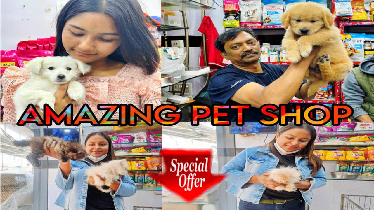 Dog market in guwahati | মাত্ৰ 3499 টকাত কিনক dog | Wholesale Pet market in guwahati 🐕🐶