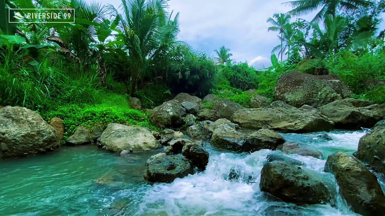 Mountain River Flowing Sounds 24/7 for Sleeping | Nature Water Sounds White Noise for Relaxation #4