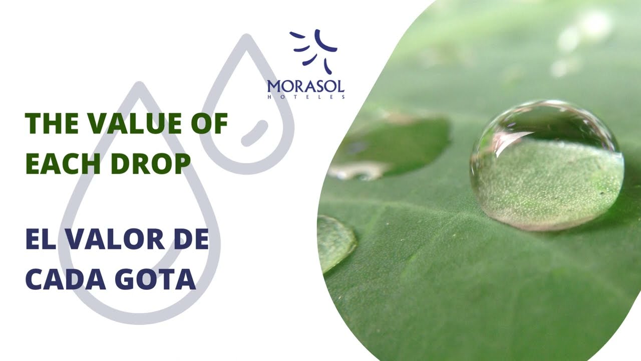 Eco-practices Morasol Suites