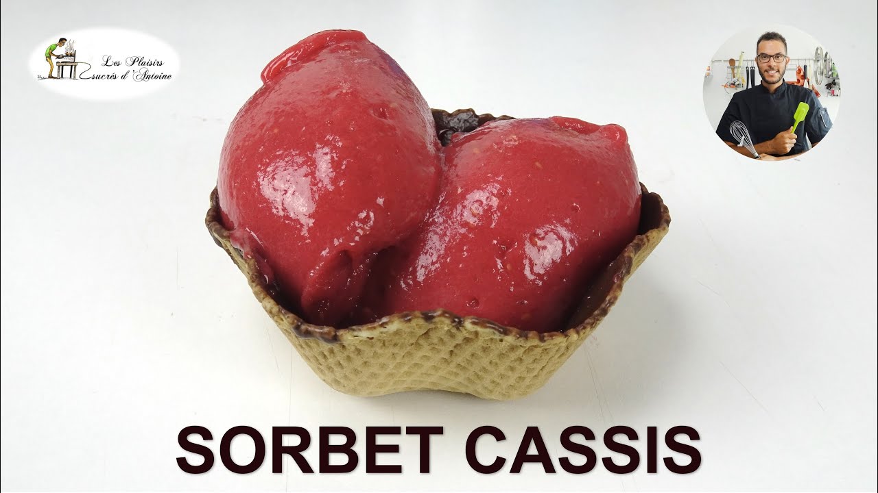 recette SORBET CASSIS, simple et rapide