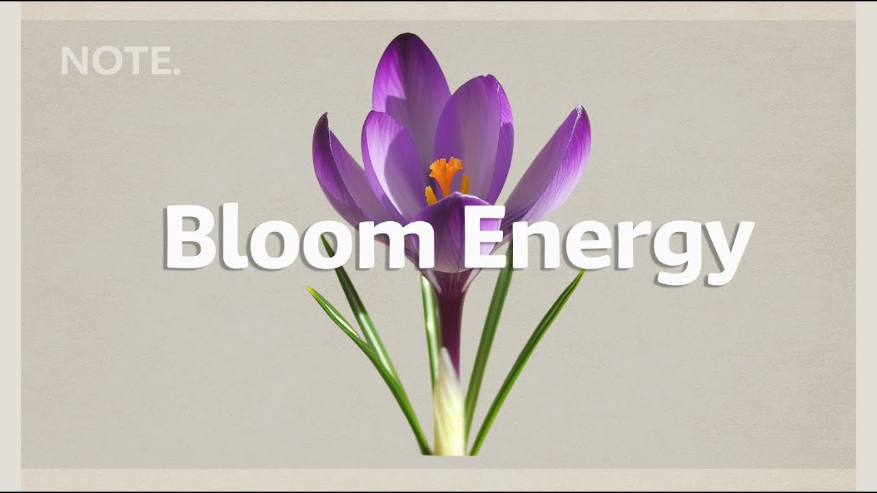 Bloom Energy | Chill House for a Positive Morning Vibe