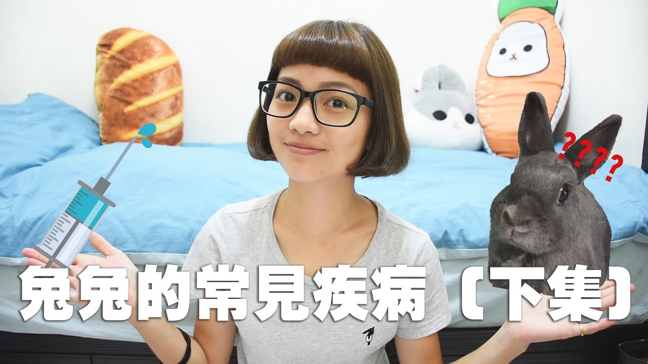 【侑敏頻道】兔兔的常見疾病（下）／脫水、咬合不正、耳疥蟲、脹氣、脊椎受傷、蟎蟲