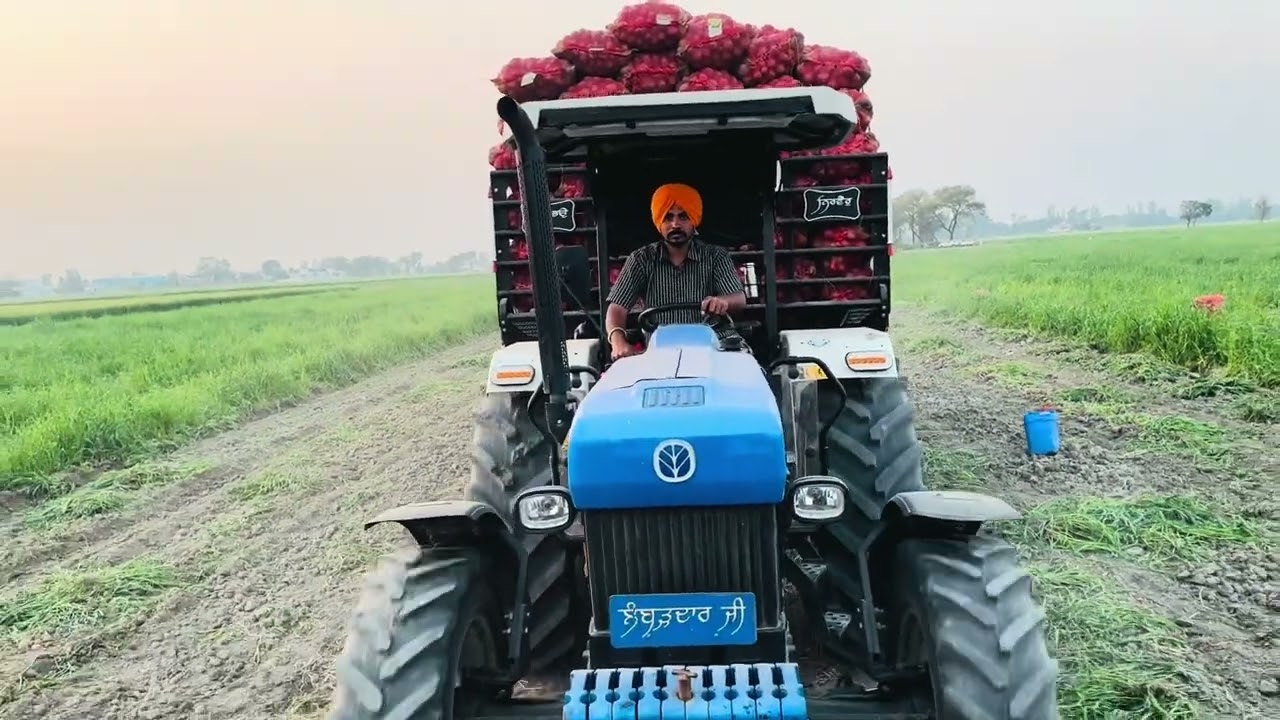 ਬਹੁਤ ਹੋ ਗਿਆ ਗੁੰਲੀ ਡੰਡਾ 🥔ਚੋ/ ਮਸੀਨ ਪੁਰੀ ਵਧੀਆ ਚੱਲਦੀ ਏ/ਖੇਤੀਬਾੜੀ ਮਹਿਕਮਾ/ਝਾੜ ਵਧੀਆ ਏ/