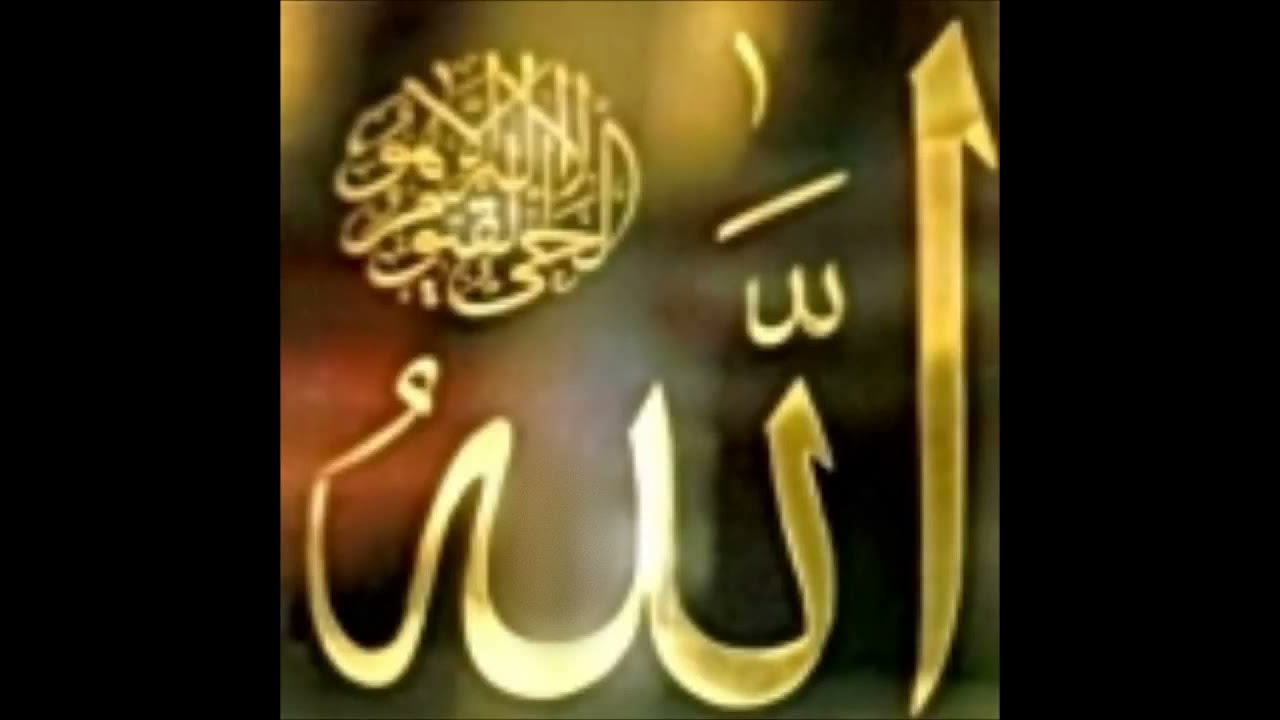 القارى الشيخ اسامة جلال عامر سورة الحجرات وسوة الفتح