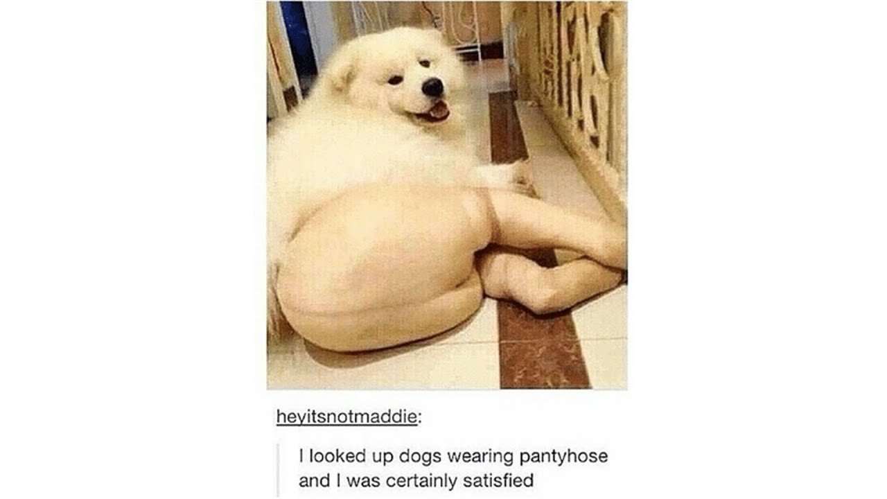 Tumblr Wumblr - Episode 67
