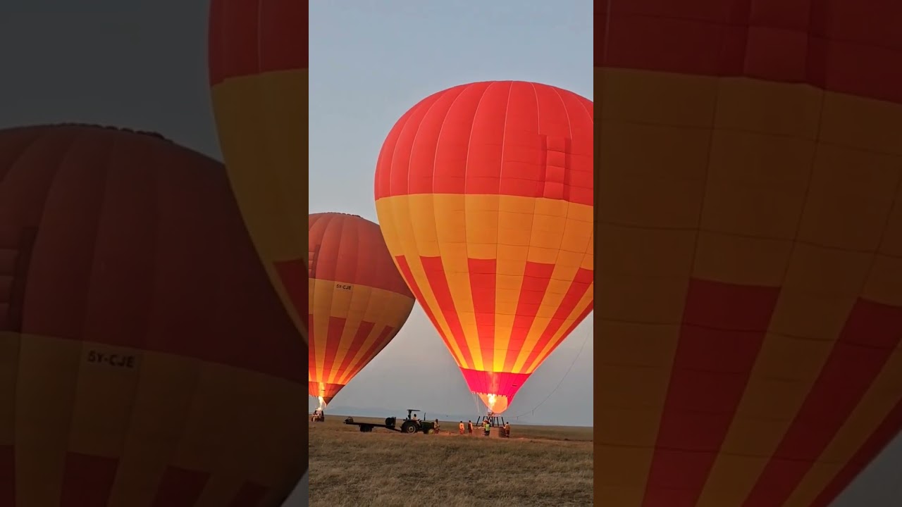 Amazing balloon safaris, Maasai Mara #wildlife #maasaimara #travelmasaimara