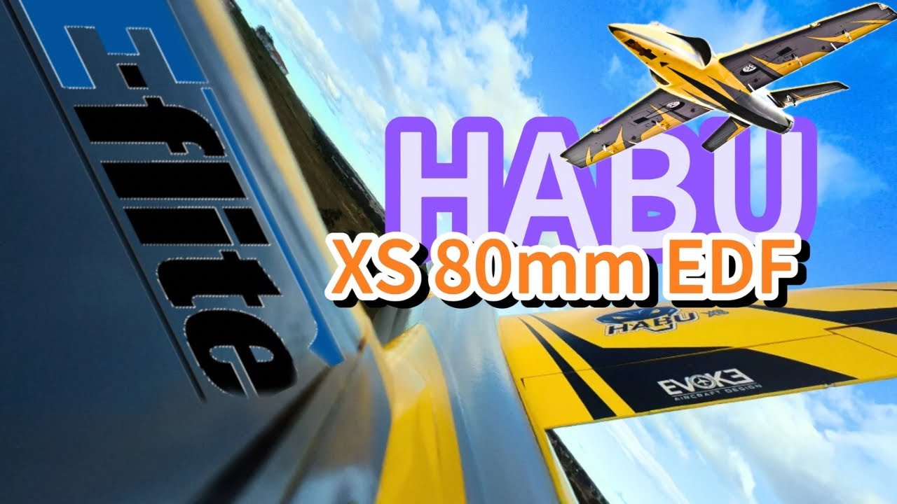 E-Flite HABU XS 80mm EDF - Да, еще один радиоуправляемый самолет 🛩️ с видеосъемкой с борта!!