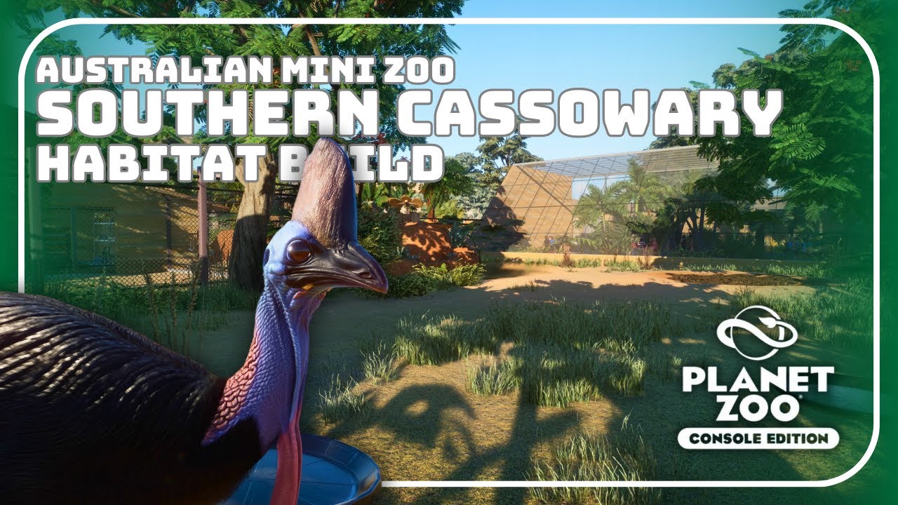 Designing a Cassowary Habitat in Planet Zoo Console Edition! 🦜 Multiple Viewings Galleries!