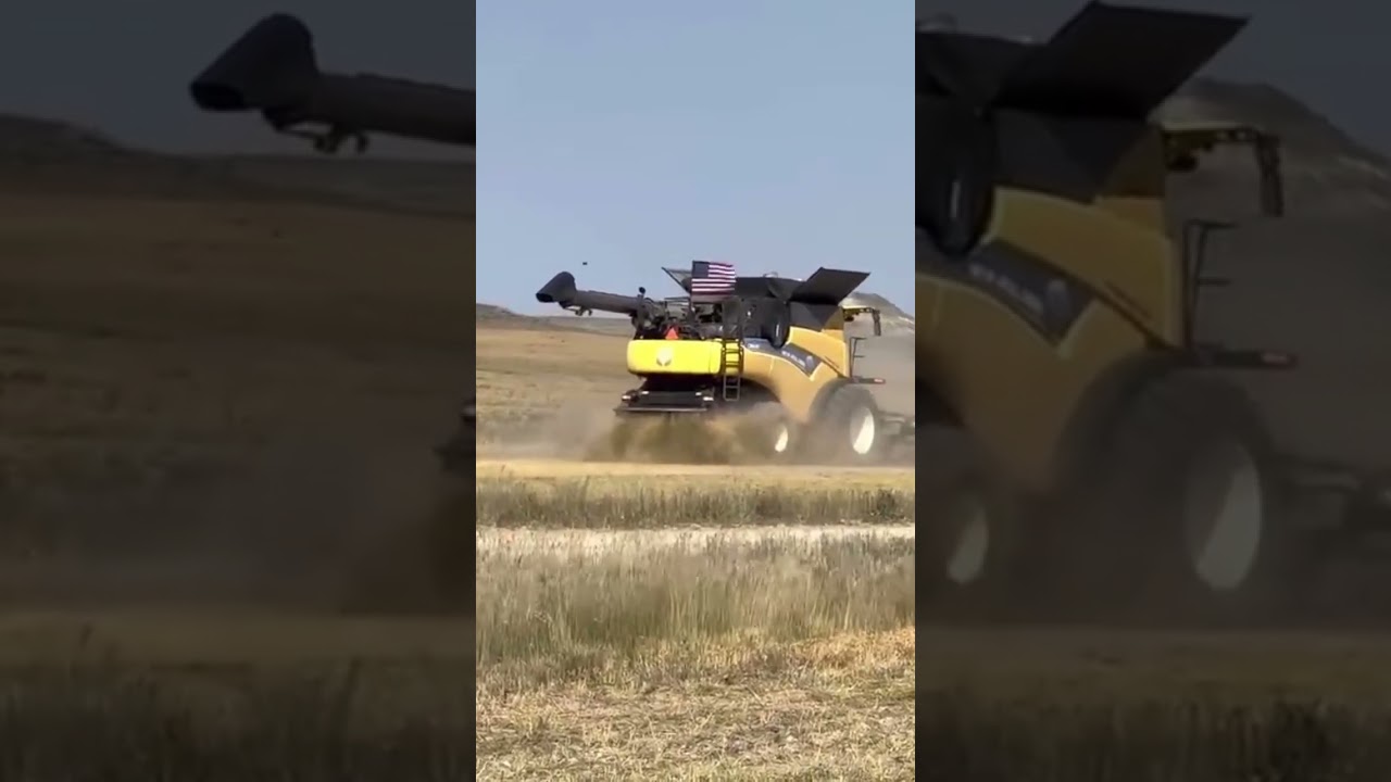 2022 Montana Lentil Harvest #zeorianharvesting #harvest2022 #Montana #lentils
