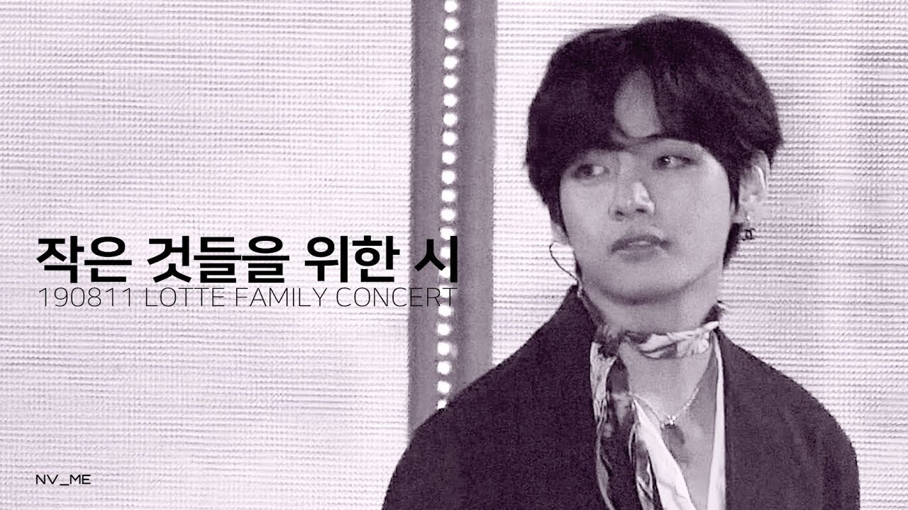 190811 LOTTE FAMILY CONCERT 작은 것들을 위한 시 (Boy With Luv) 방탄소년단 뷔 FOCUS BTS V