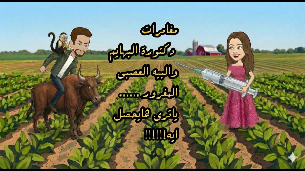 مغامرات دكتورة البهايم والبيه العصبى المغرور ...... ياترى هايحصل ايه  !!!!!!