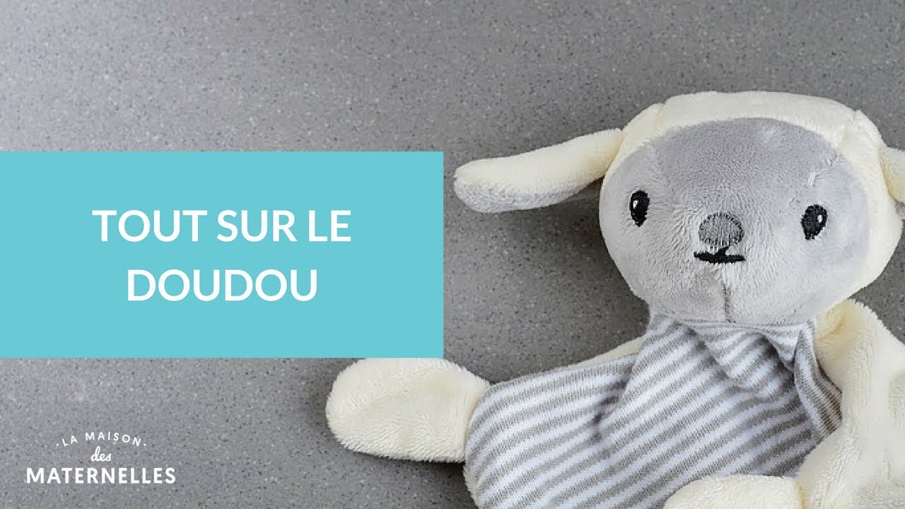 Tout sur le doudou - La Maison des Maternelles #LMDM