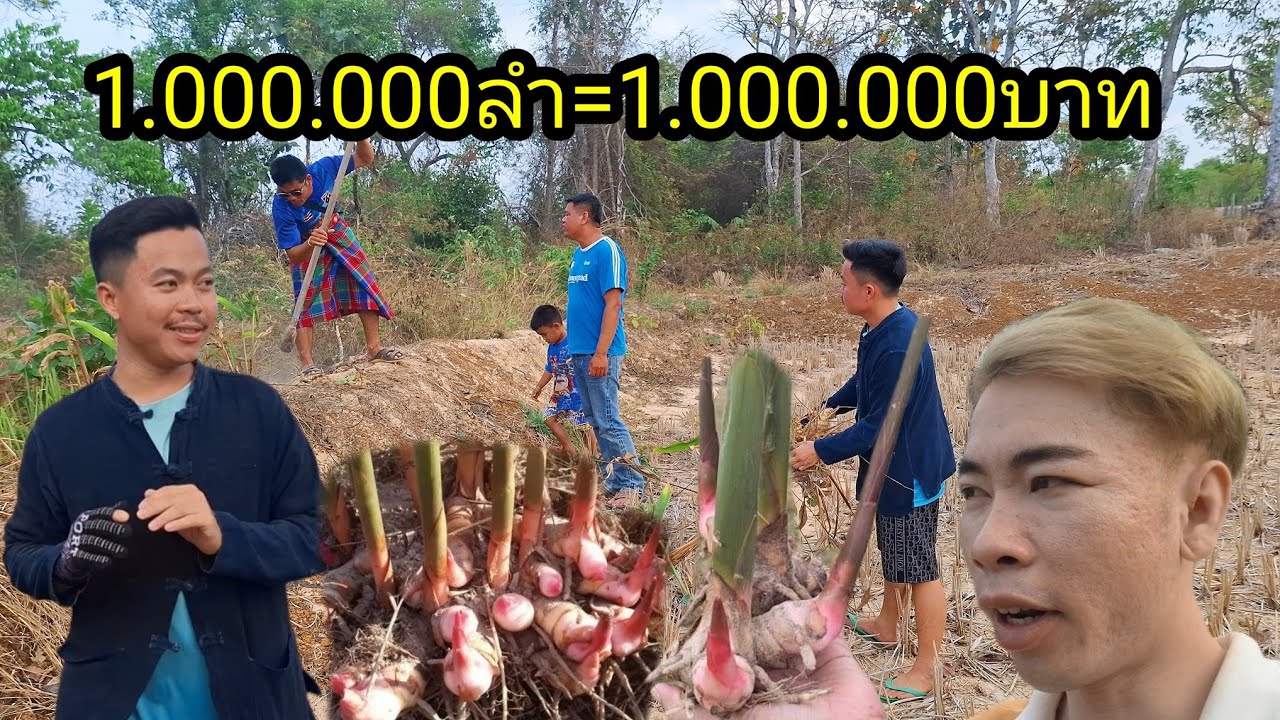 Ep: 1324 บ่าวสอนมาซื้อค่านำอ้ายแขกไปปลูกลำละ1บาทจร้า