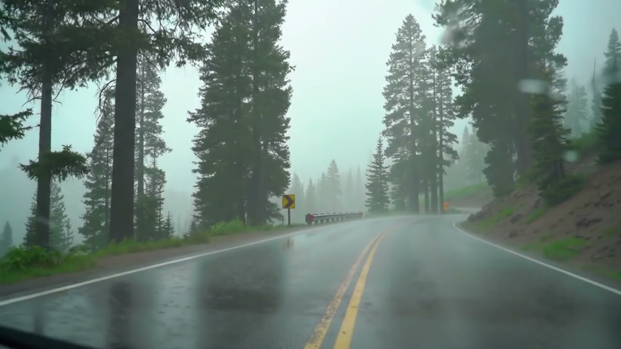 Forest Highway Rain Ambience #60 &ndash; Soothing ASMR Sleep Sounds