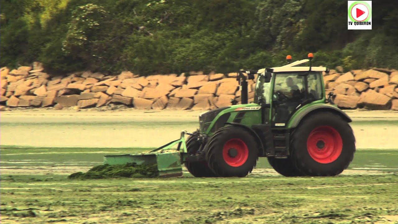 SAINT-MICHEL-EN-GRÈVE  | Les Terribles Algues Vertes |  Bretagne Télé